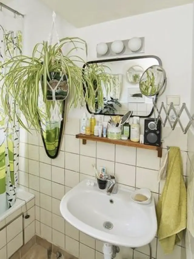 salle de bain vintage plantes vertes