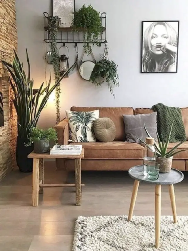 joli petit salon canapé cuir plantes