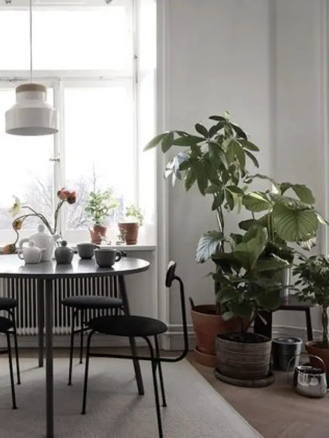 tendance slow living salle a manger plante