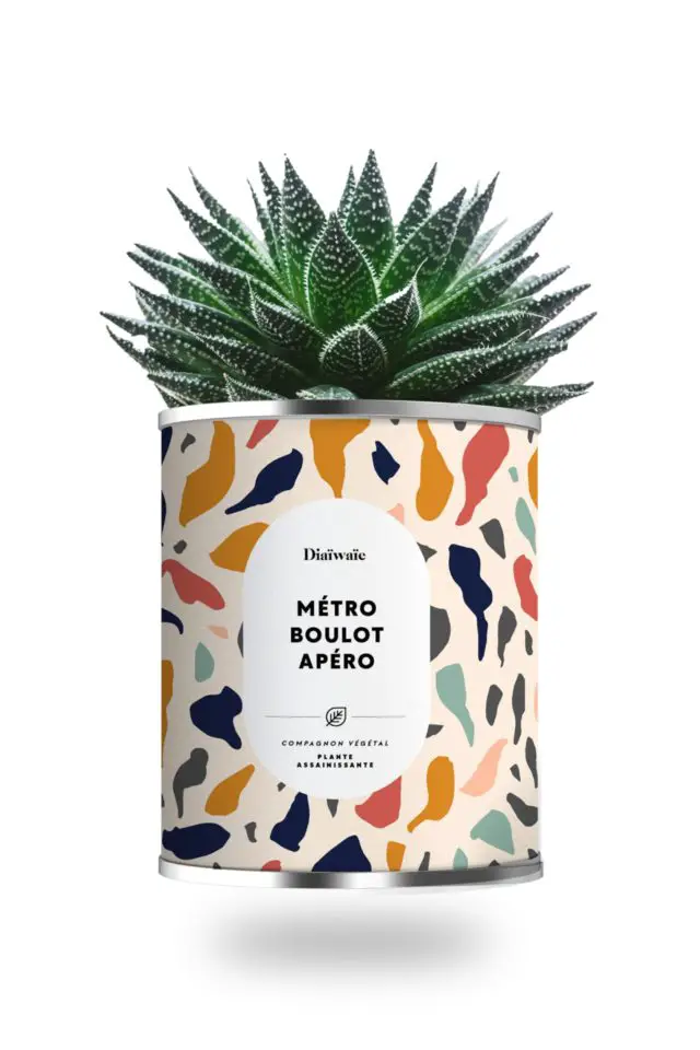 cadeau fan aperitif  cactus metro boulot apéro