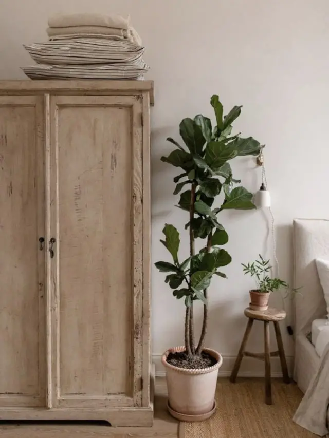 chambre style nature chic exemple armoire en bois + plantes