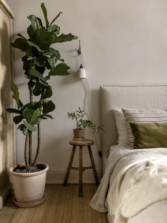 chambre style nature chic exemple ambiance slow + arbuste