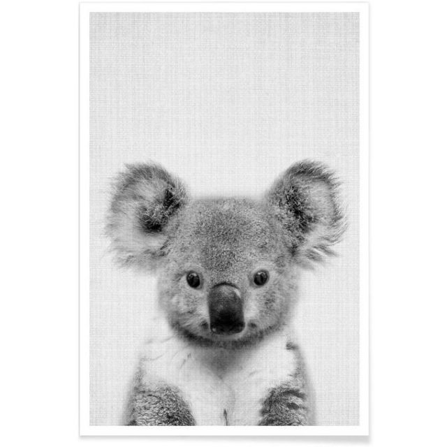enfant cadeau noel deco affiche Koala mignon