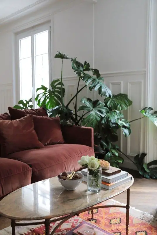 salon blanc style urban jungle exemple canape marron et plantes