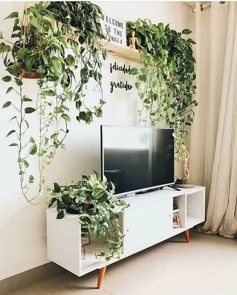 salon blanc style urban jungle exemple meuble tv et plantes