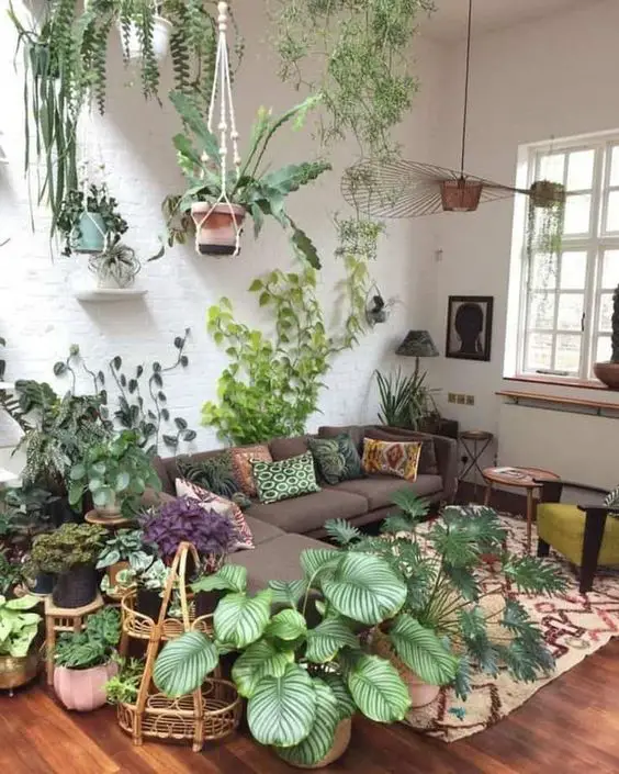 salon blanc style urban jungle exemple plantes vertes