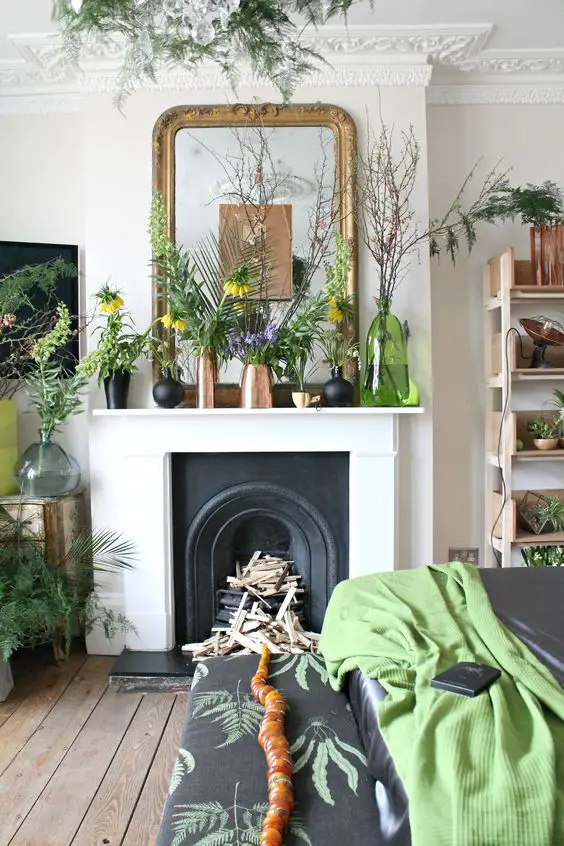 style classique chic cheminee plante et miroir