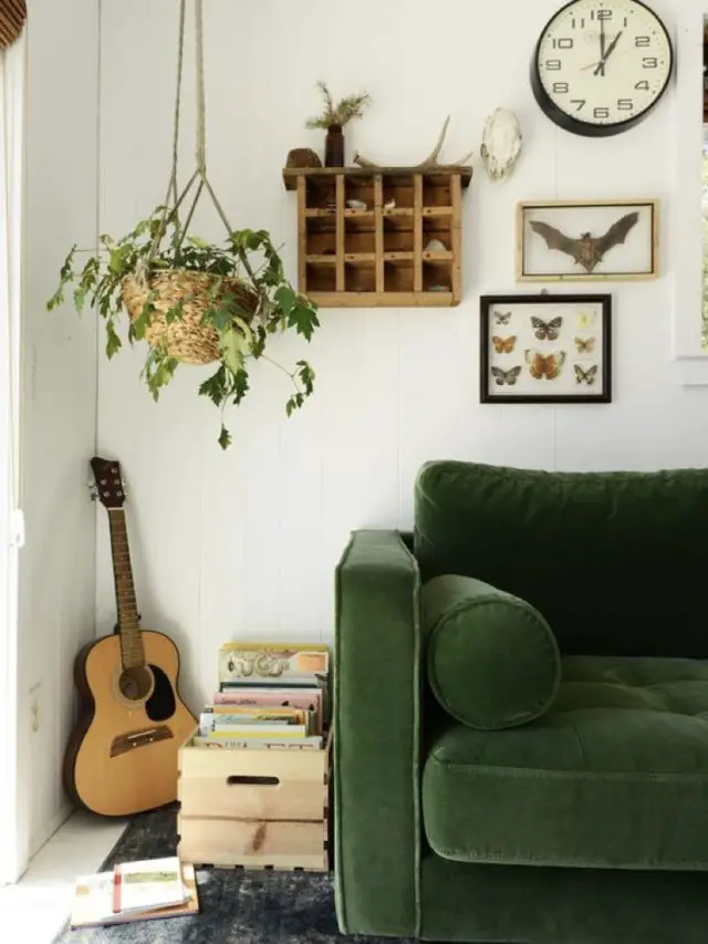 decorer avec guitare exemple salon canapé vert plante et livre