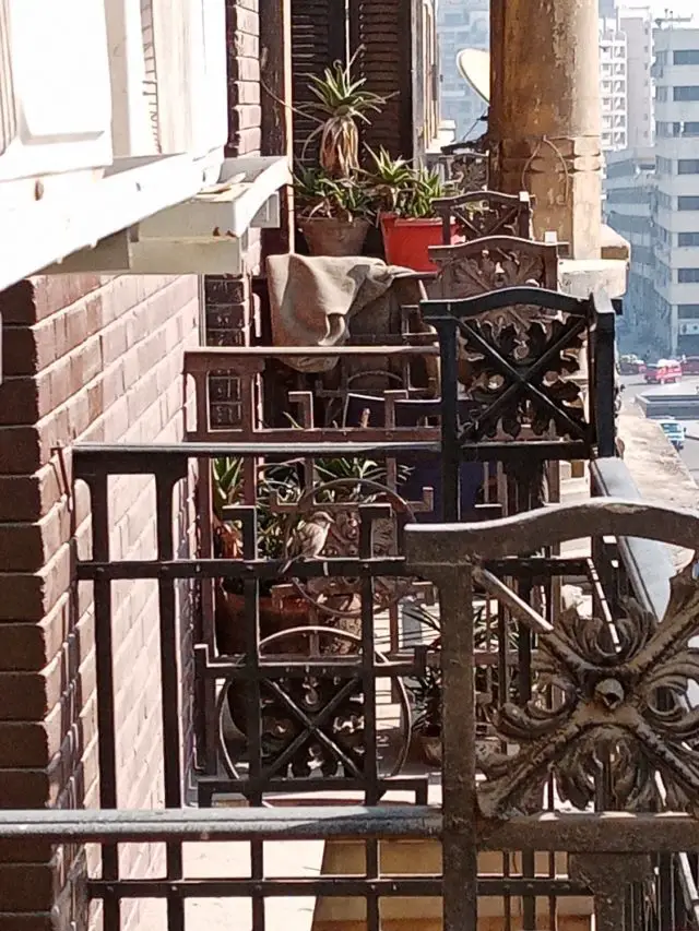 journal nomade quotidien egypte caire petit oiseau balcon classique fer forgé
