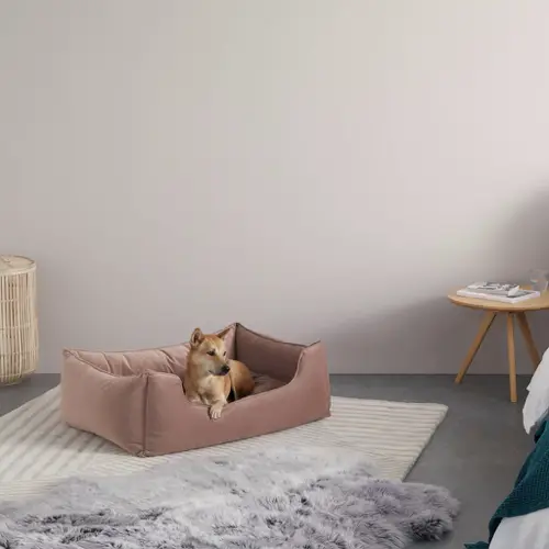 meuble moderne petit prix made soldes 2021 grand lit pour chien en velours