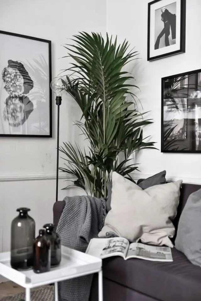 salon moderne gris blanc plantes intérieures tropicale décoration murale cadre