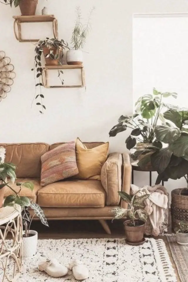 decoration salon petit canape cuir exemple plante figuier piètement bois légèrement vintage
