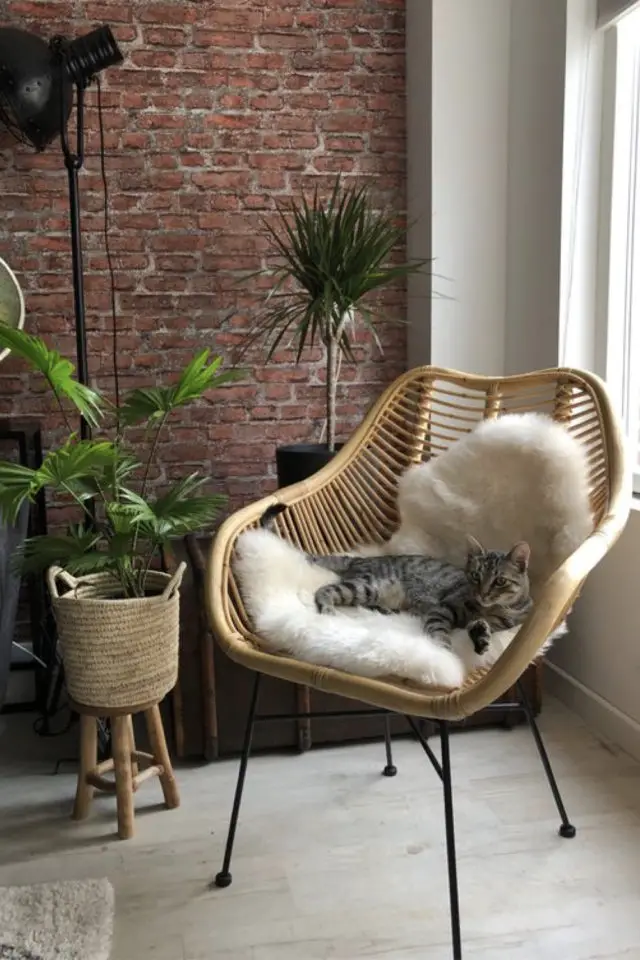 lifestyle chat deco fauteuil rotin plantes vertes mur en brique