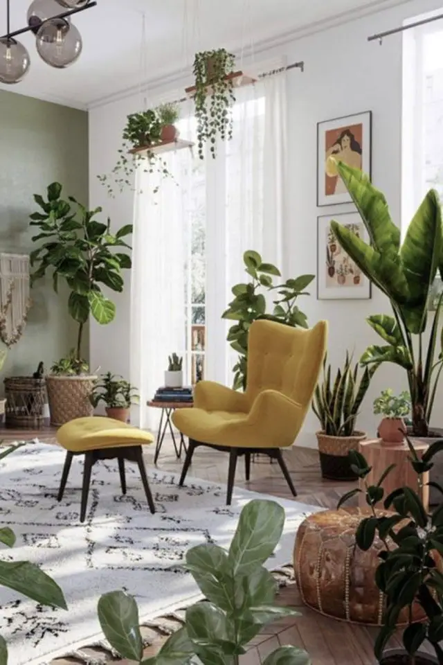 petit budget fauteuil deco 2 salon moderne plantes vertes couleurs
