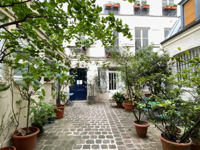 cour interieure immeuble plantes appartement parisien plantes pot de fleurs allée