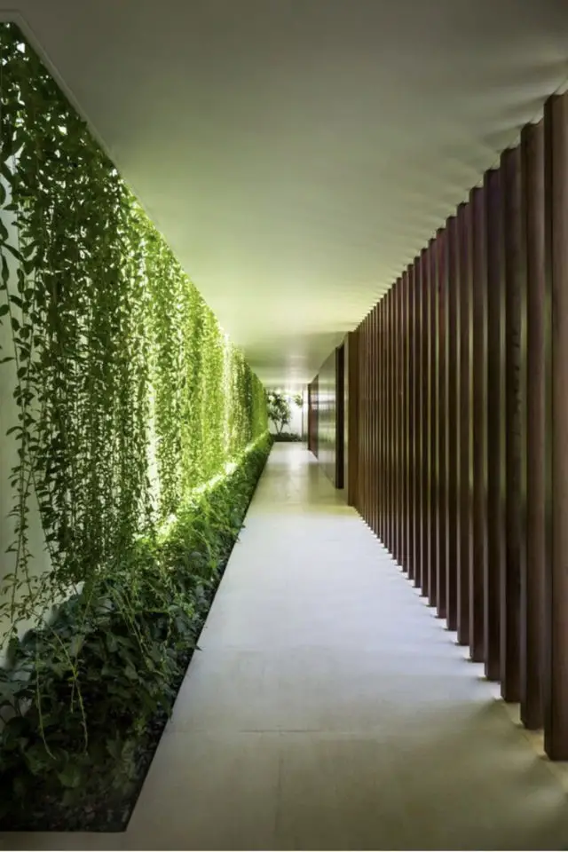 coursive immeuble plantes exemple claustra et plantes tombantes