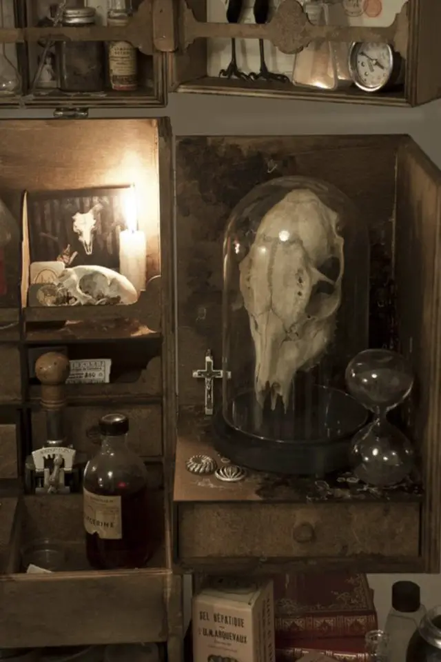 deco rock cabinet curiosite exemple crâne animal sous globe en verre collection naturelle souvenirs