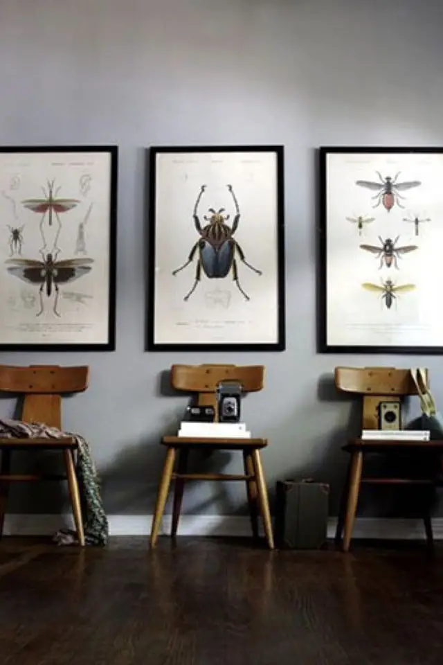 deco rock cabinet curiosite exemple decoration murale illustration insecte