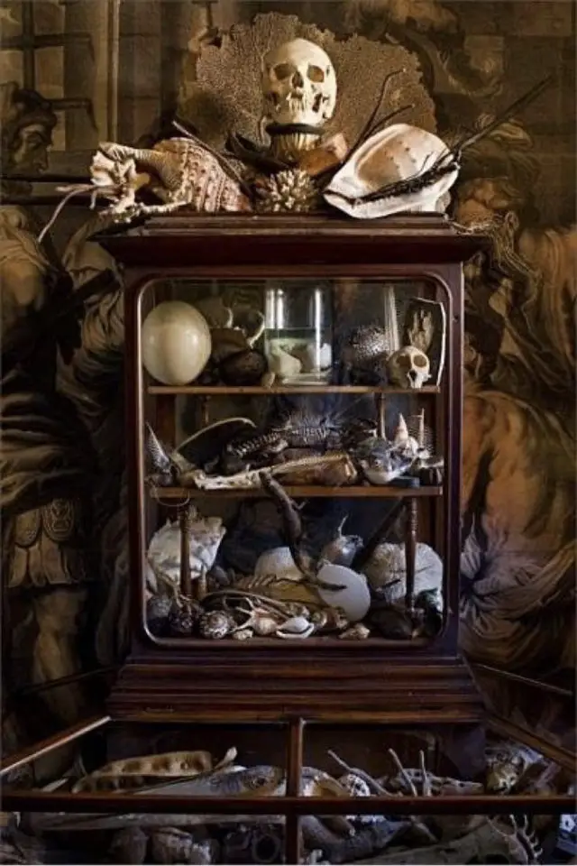 deco rock cabinet curiosite exemple vitrine collection petits objets vanités