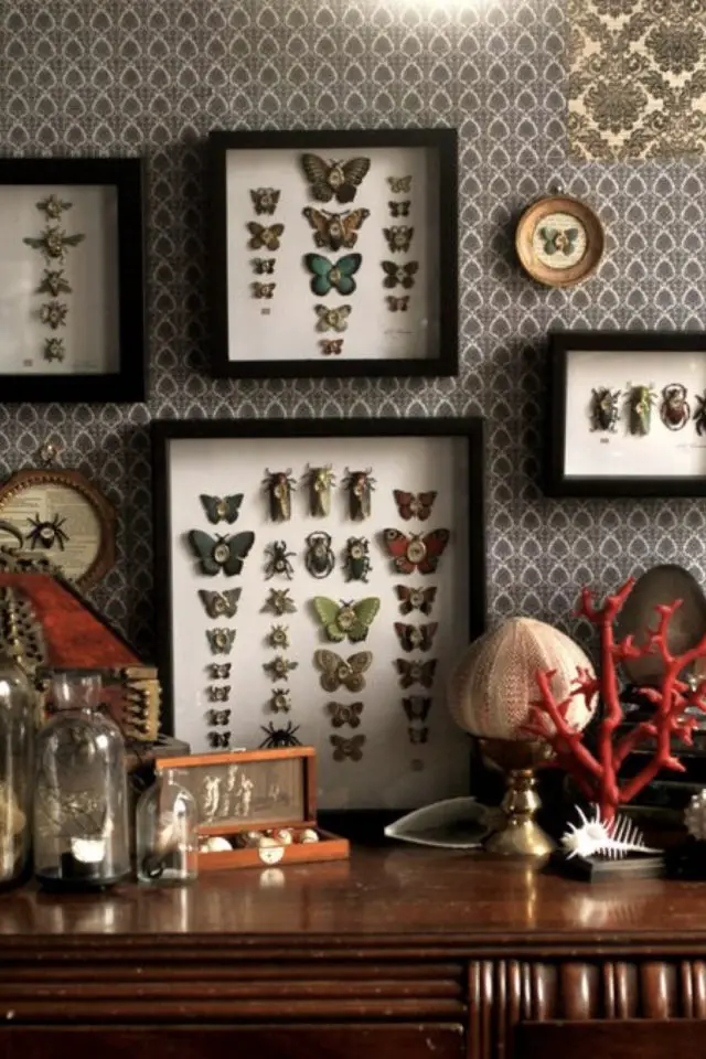 deco rock cabinet curiosite exemple décor mural papillon sous verre naturalisme découverte