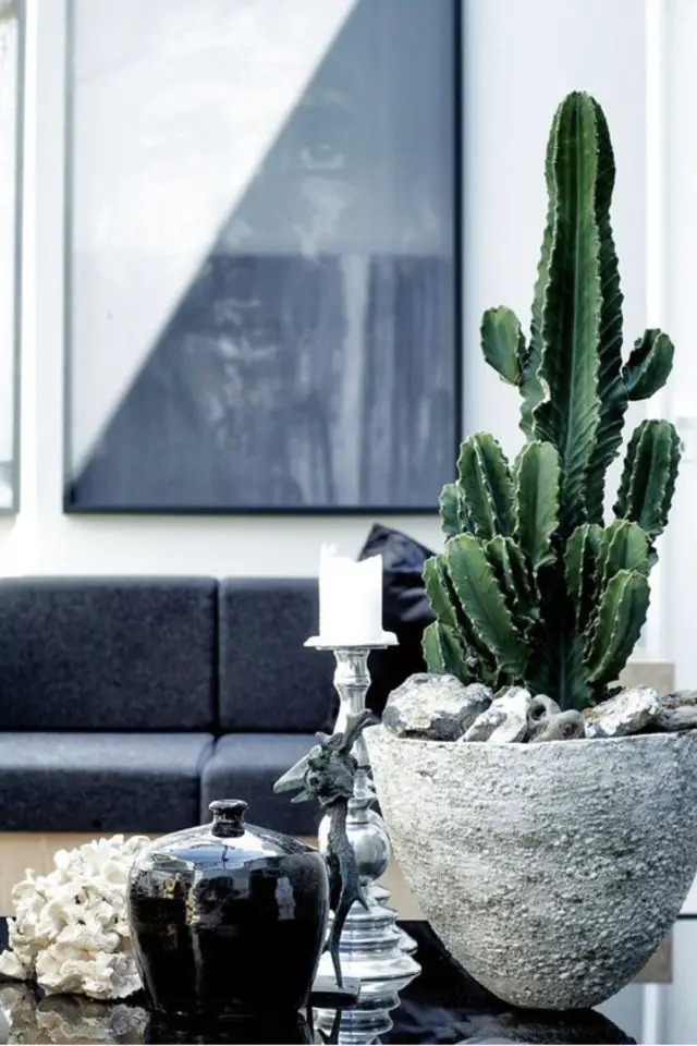decoration interieure cactus exemple déco blanc gris pot de fleur en béton