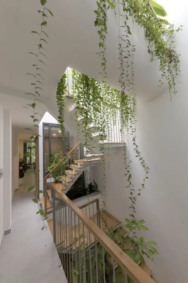 palier immeuble plantes vertes exemple cage escaliers plantes vertes tombantes