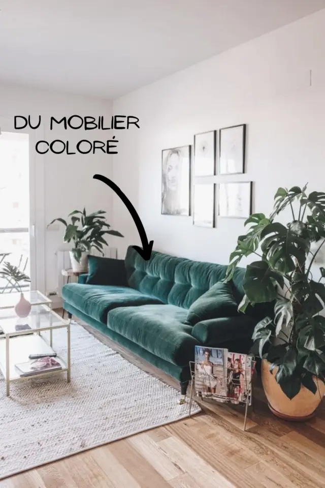 deco petit salon couleur utilisation canapé meuble coloré