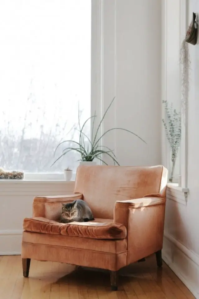 decoration interieure chat sieste fauteuil en velours couleur moderne