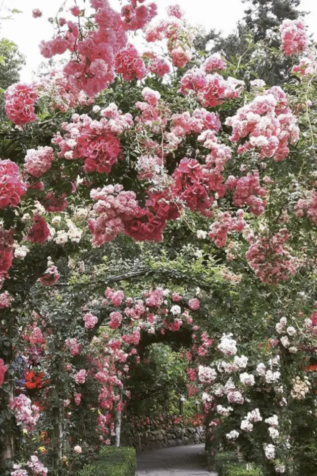 idee  joli jardin fleur rose allée avec fleur et armature romantisme anglais