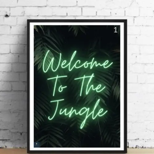 interieur rock poster musique gun's and roses welcome to the jungle