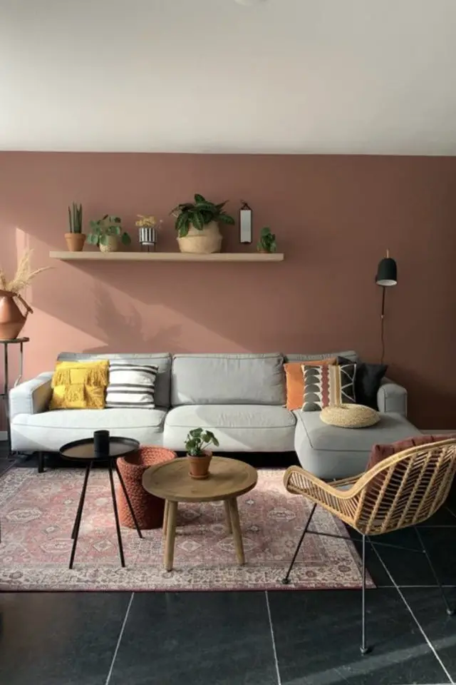 petit salon choix couleur conseil mur peinture rose poudré canapé gris