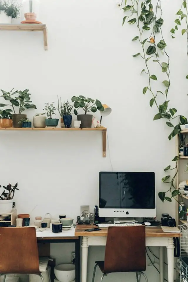 plante verte rampante deco bureau étagère murale mur peinture blanche simplicité télétravail