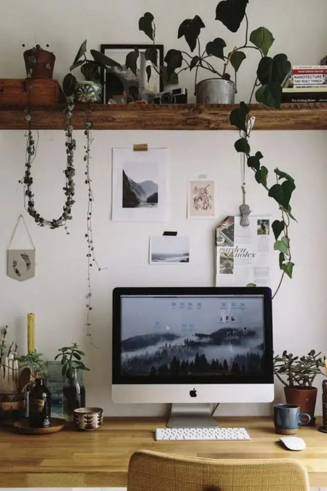 plante verte rampante deco bureau étagère au dessus écran ordinateur télétravail travailler de chez soi cadre agréable