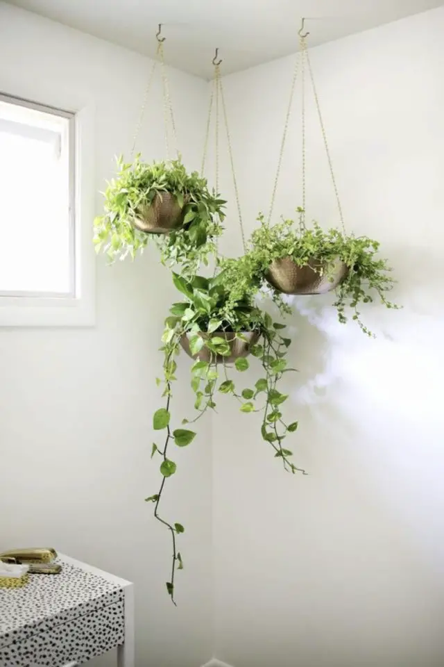 comment suspendre plantes vertes hauteur angle de pièce plafond