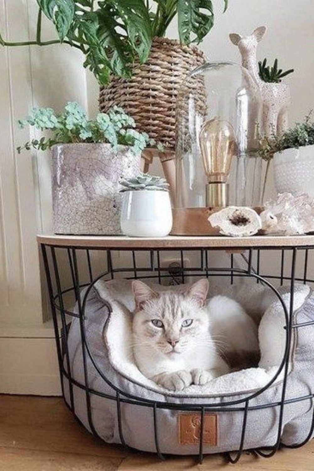 [Lifestyle] Des chats et de la déco n°5 Cocon décoration & slow living — free download