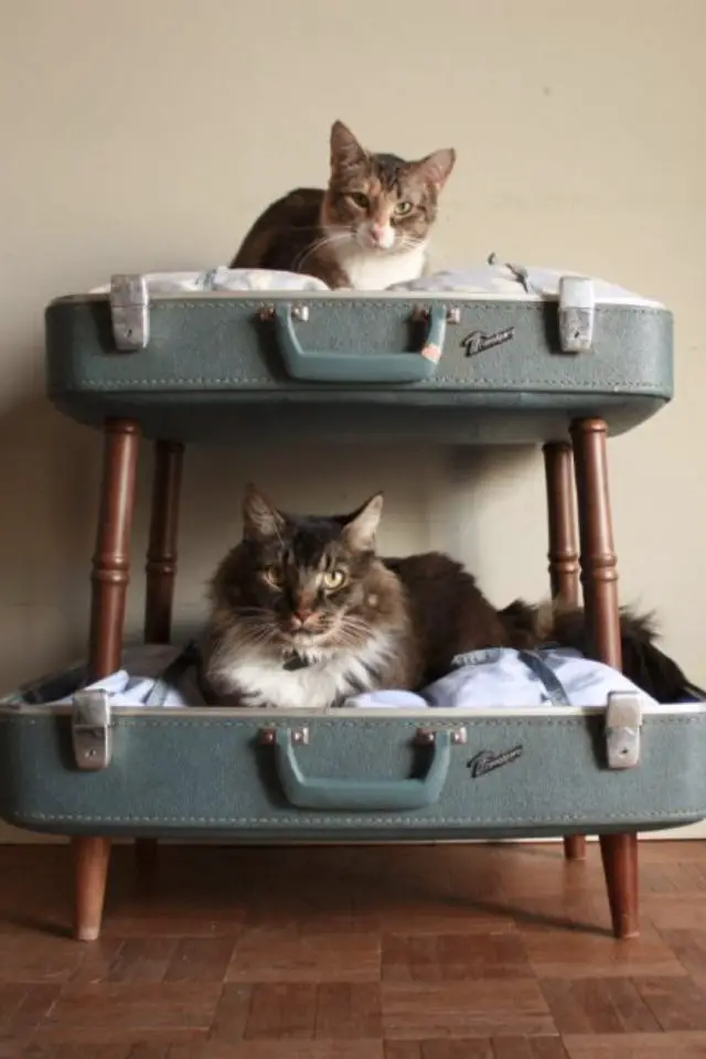 decoration chat panier exemple diy récup valise 