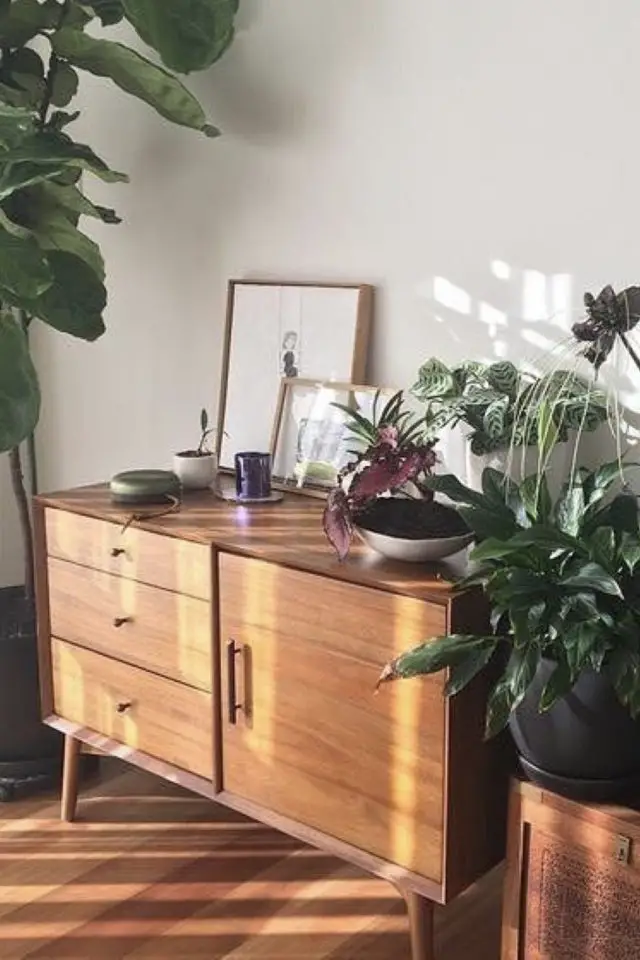 salon sejour vintage exemple petit meuble mid century modern avec plante verte et décoration