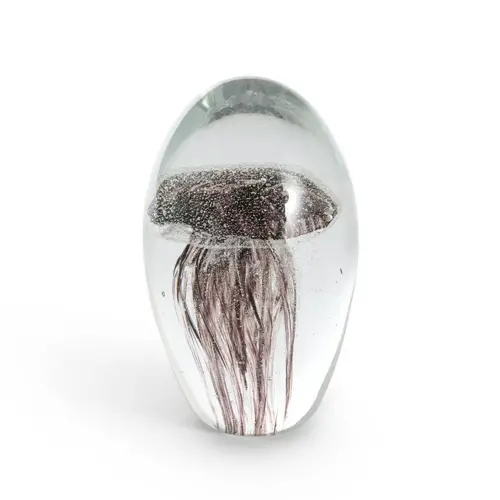 accessoire decoration forme coquillage meduse sous verre