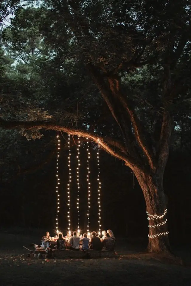 eclairage jardin exemple a copier guirlande suspendues à une branche d'arbre au dessus de la table extérieure