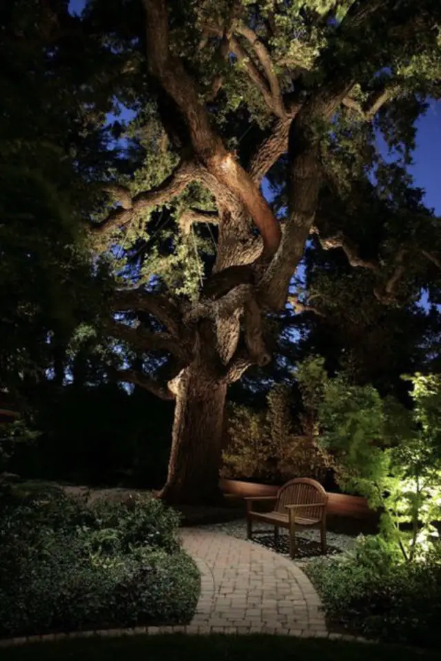 eclairage jardin exemple a copier arbre bosquet lumière indirecte 