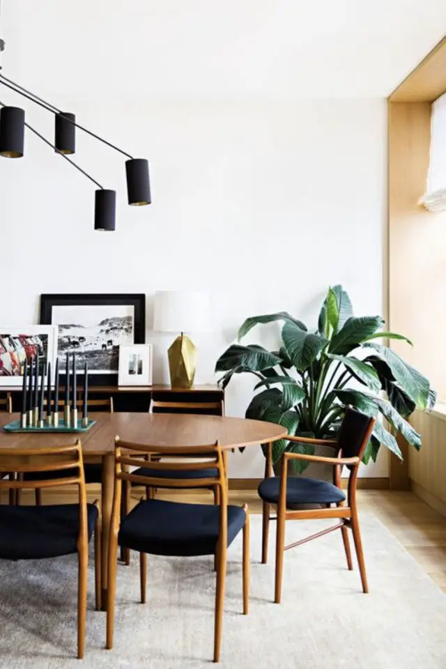 salle a manger mid century modern plantes exemple plante verte dans un angle