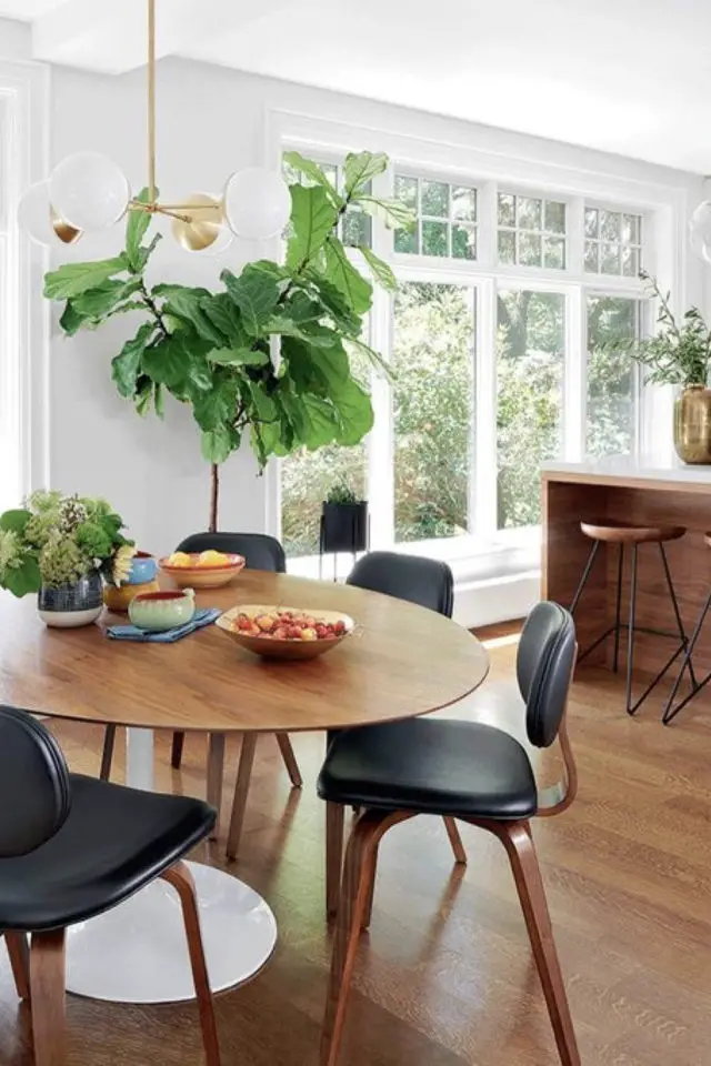 salle a manger mid century modern plantes exemple format XXL figuier