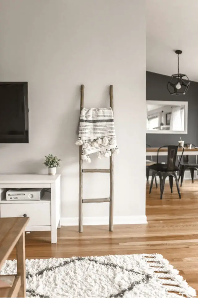 interieur slow design petit budget meuble télé blanc ambiance moderne scandinave échelle décorative 