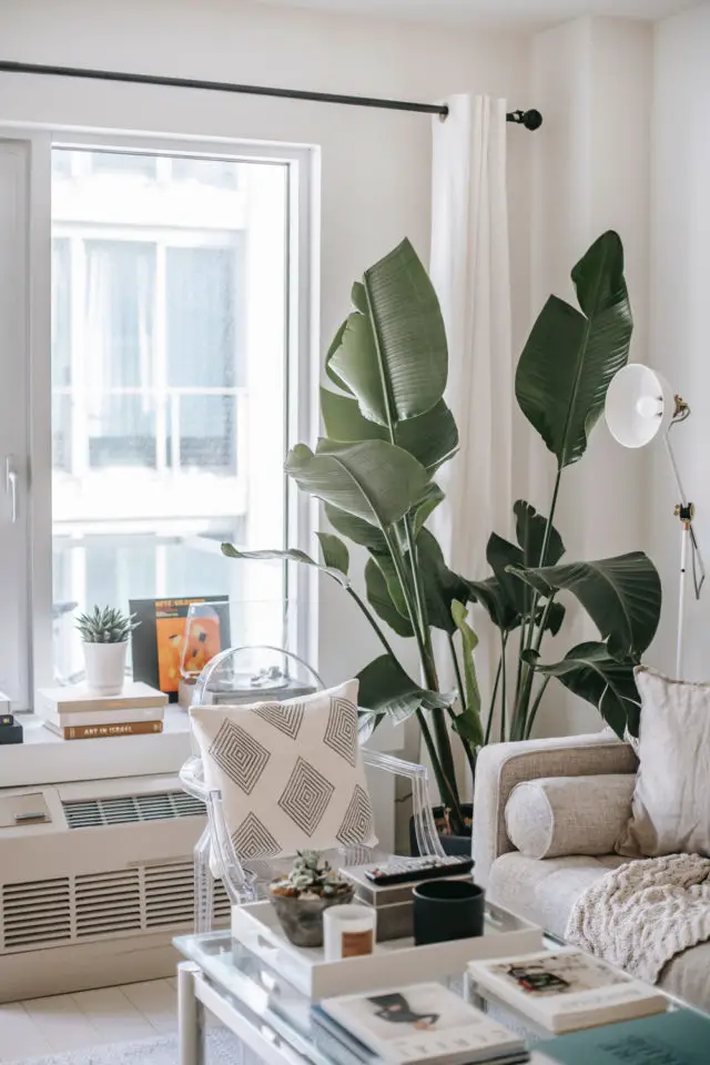 idee relooking salon facile plantes vertes angle d'une pièce décor moderne