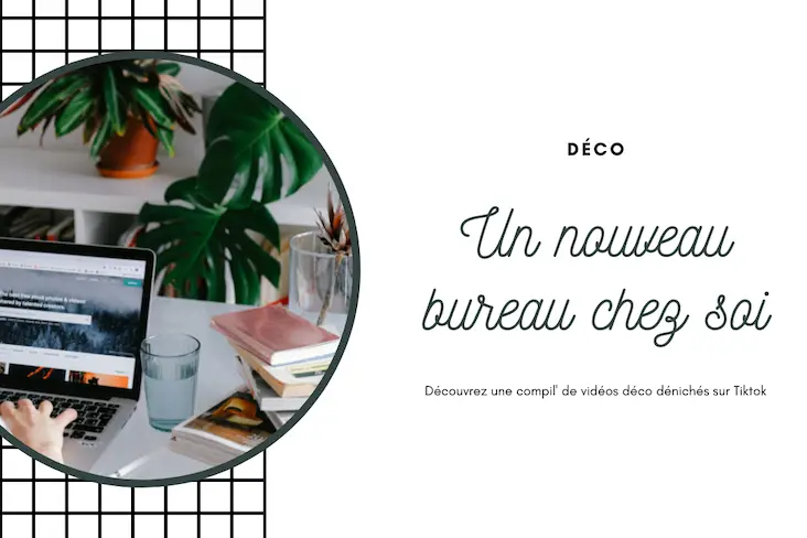 video deco bureau rentree exemple tapis meuble bibliothèque plante lampe moderne stylée