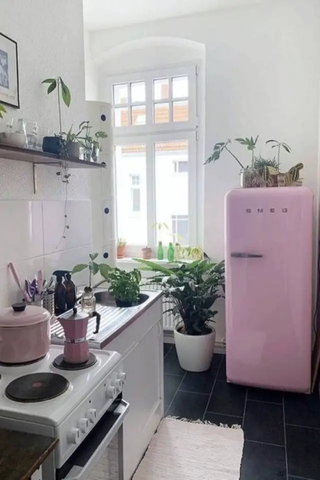 amenagement petite cuisine frigo rose smeg vintage studio étudiant