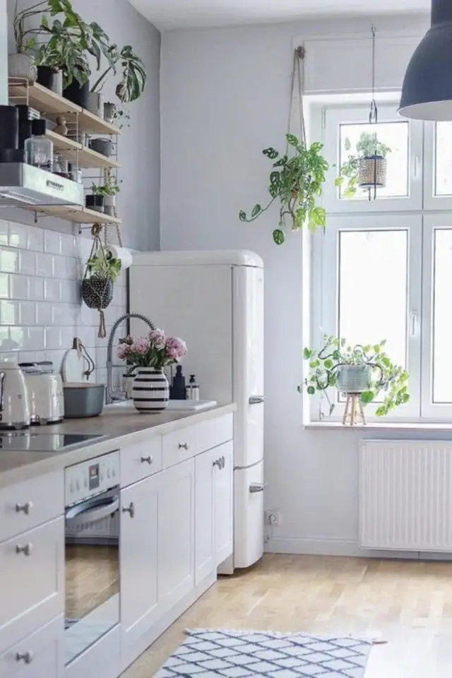 amenagement petite cuisine frigo espace tout en longueur plantes vertes fenêtre