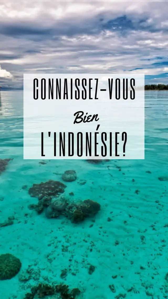 cahier de vacances indonesie culture générale quiz voyage Asie