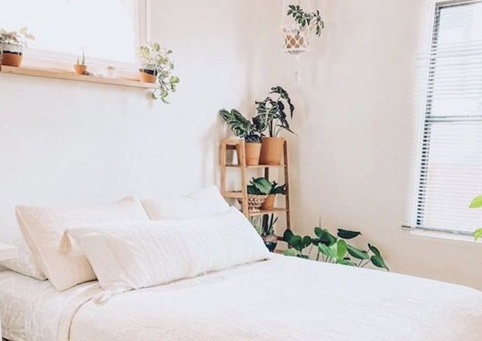 blog idee deco moderne plante chambre meuble vert noel décorations bureau