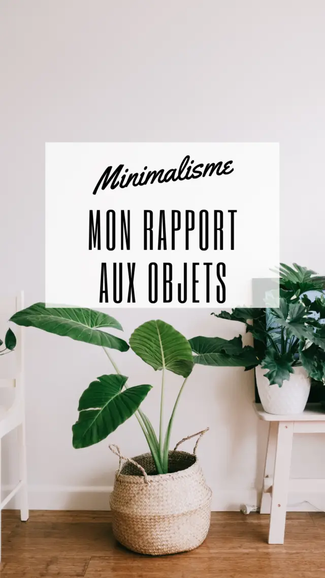 minimaliste rapport aux objets conseils expérience partage